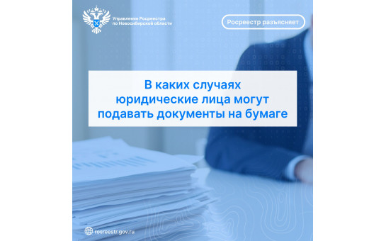 В каких случаях юридические лица могут подавать документы на бумаге
